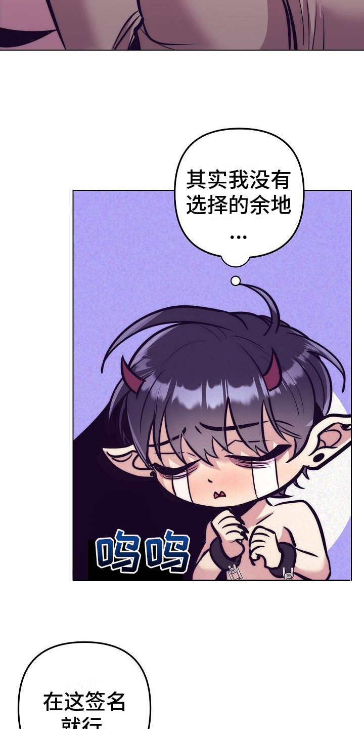 第38章：天使契约：签署契约21