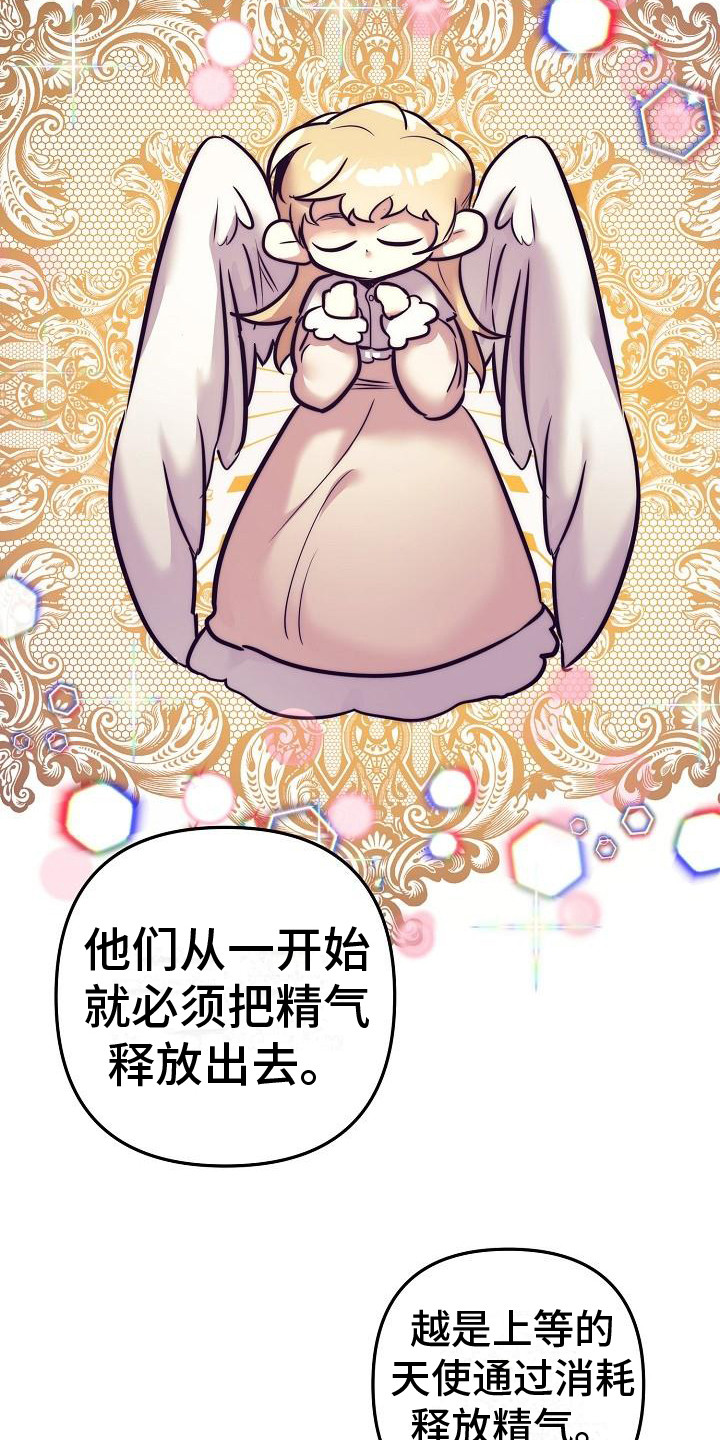 第45章：天使契约：最好的结局（完结）5