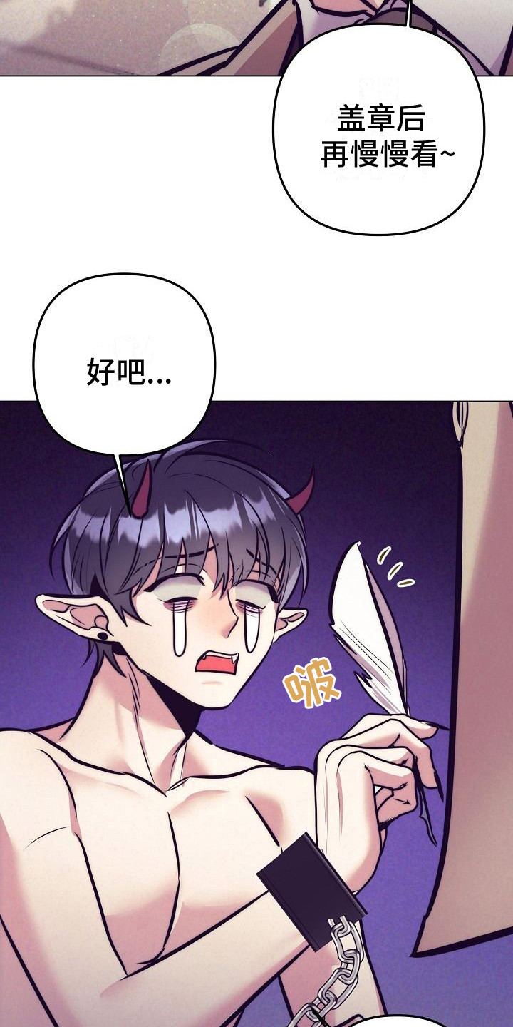 第38章：天使契约：签署契约24