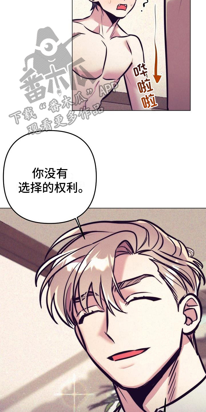第38章：天使契约：签署契约23