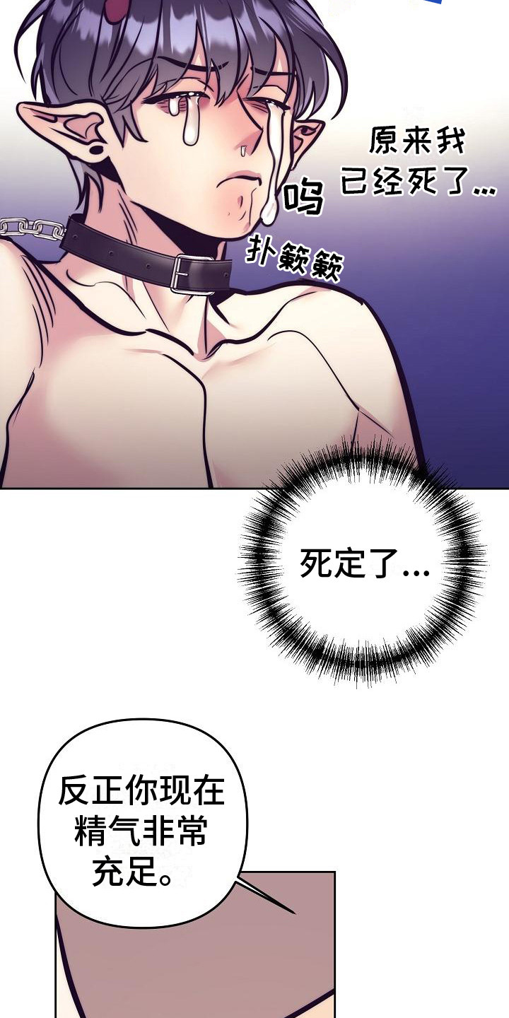 第36章：天使契约：天使17