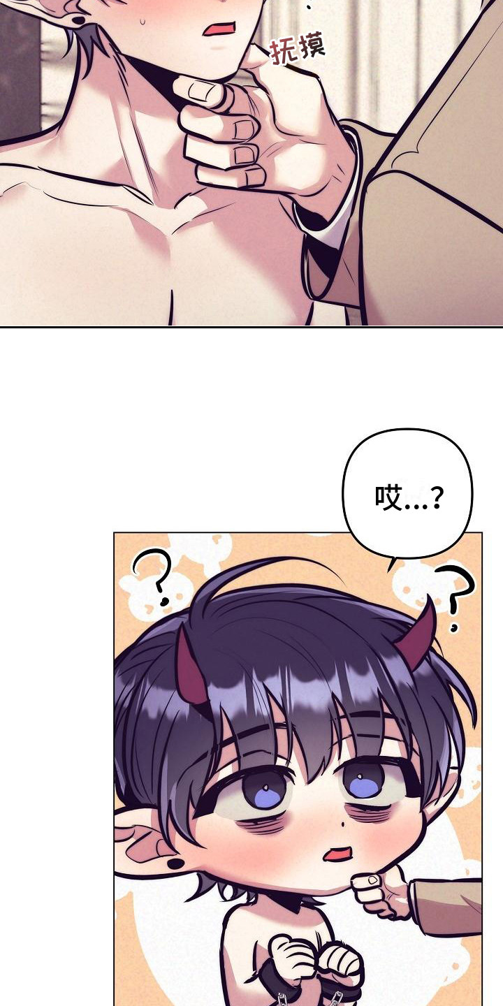 第38章：天使契约：签署契约15