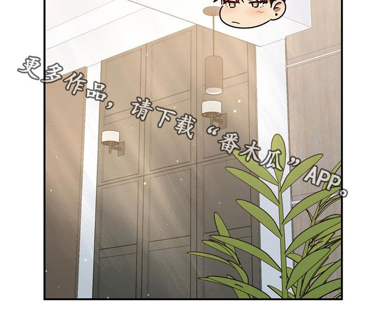 第85章：买家具26