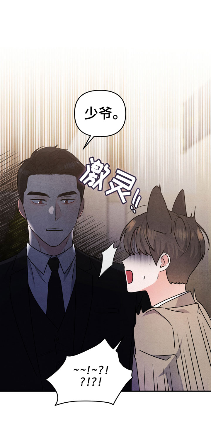 第3章：自爆15
