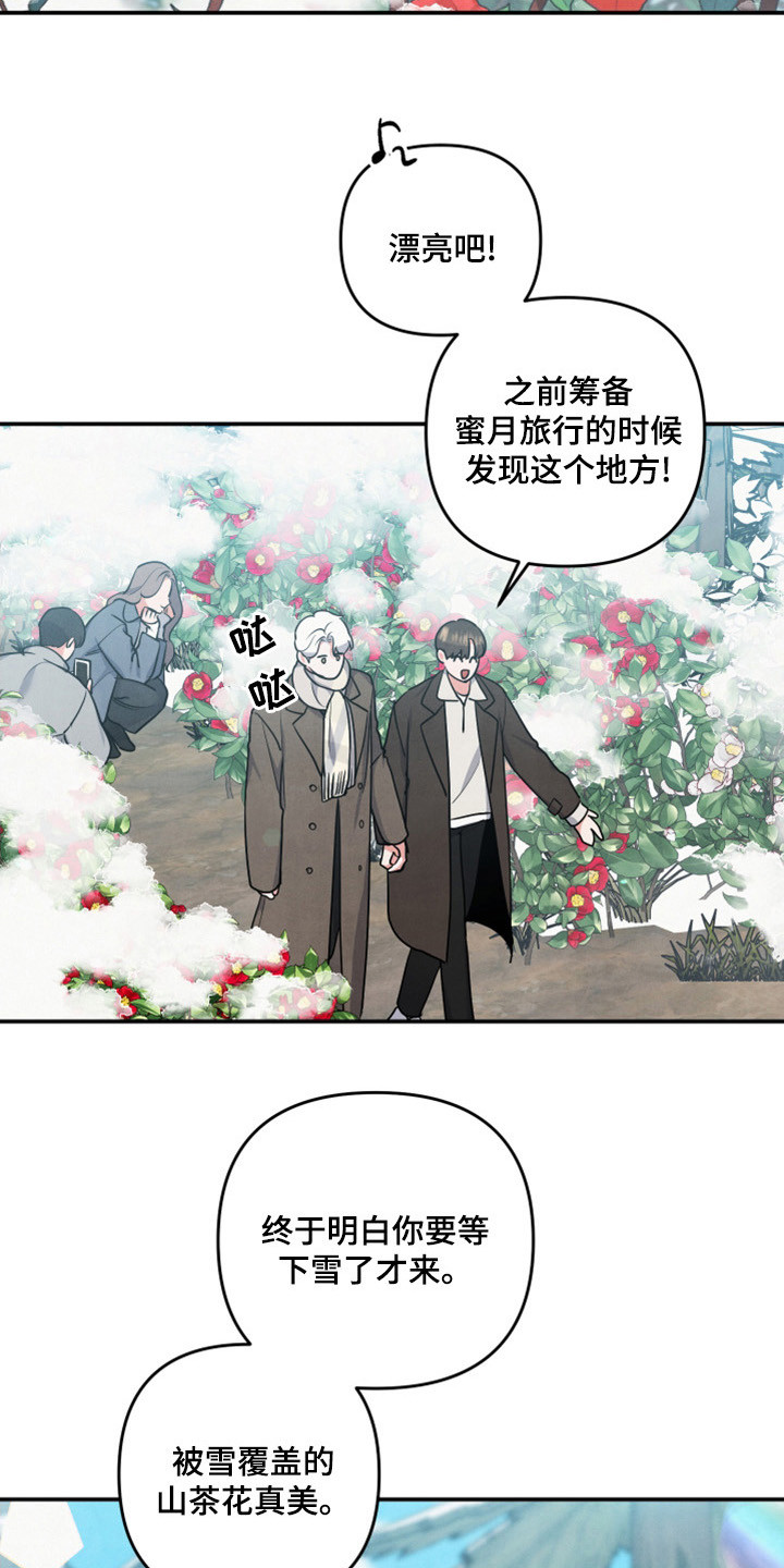 第64章：山茶花11