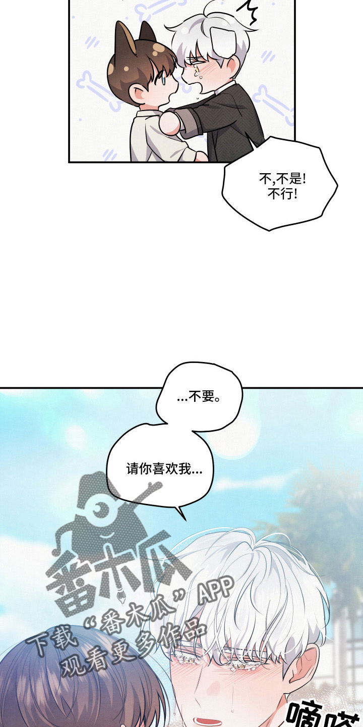 第54章：第一位2