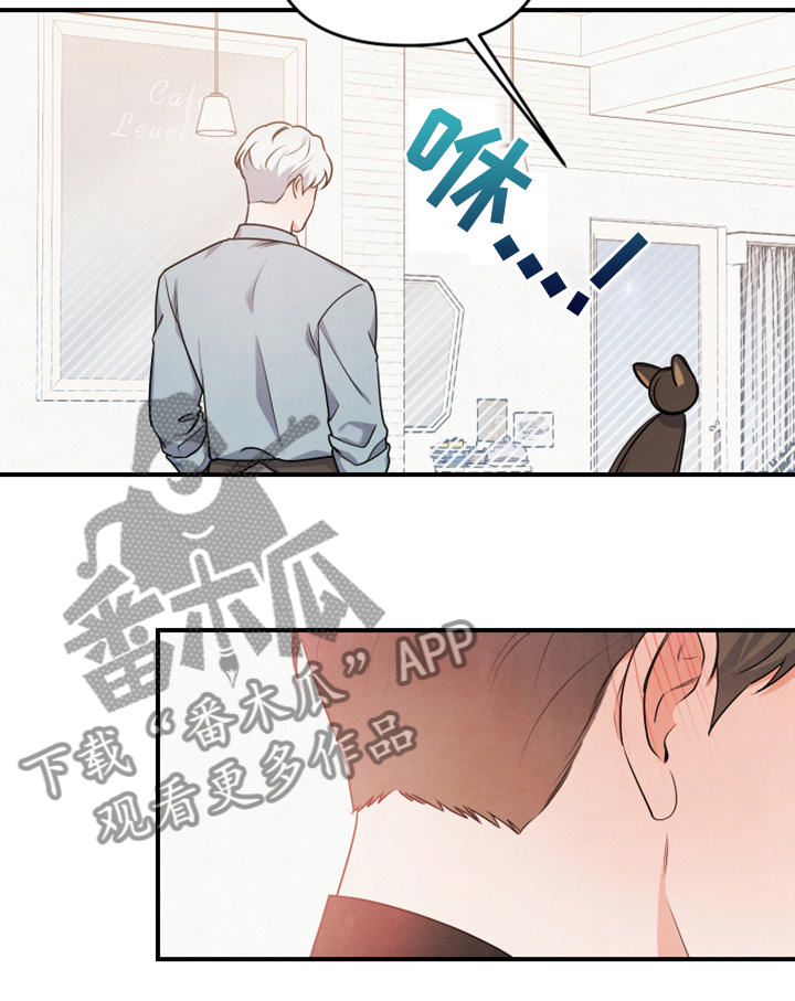 第17章：衬衫的价钱16