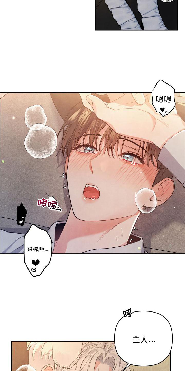 第70章：【番外】听话18