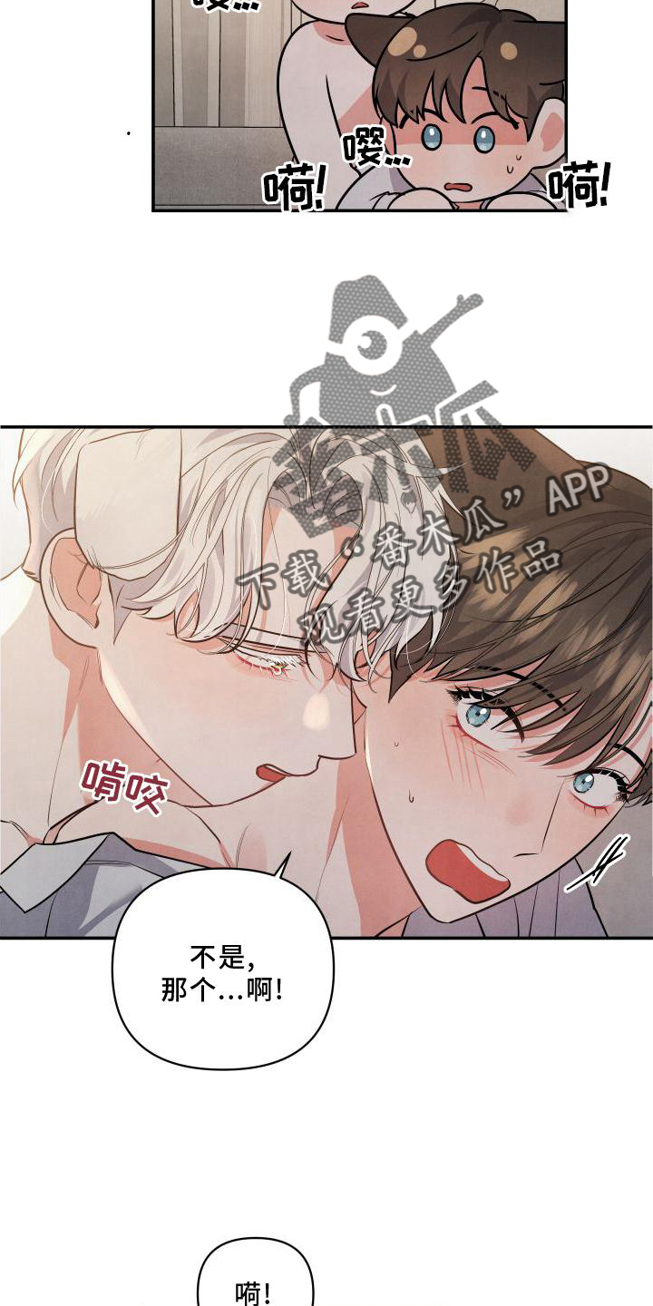 第71章：【番外】圣诞快乐8
