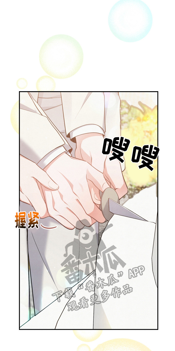 第67章：【第一季完结】婚礼25