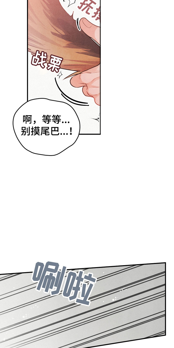 第1章：小型犬17