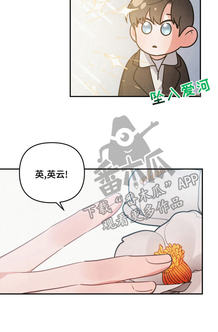 第64章：山茶花13