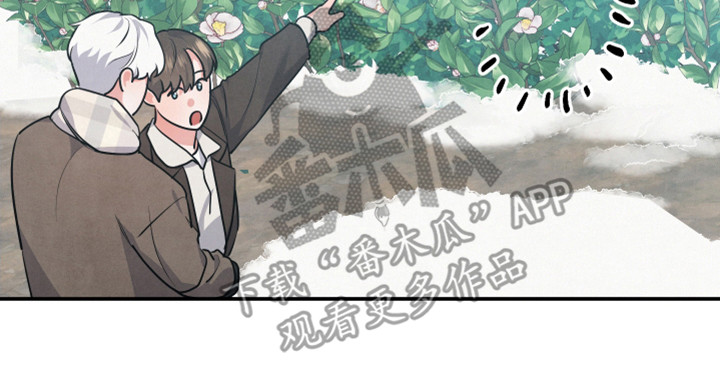 第64章：山茶花22