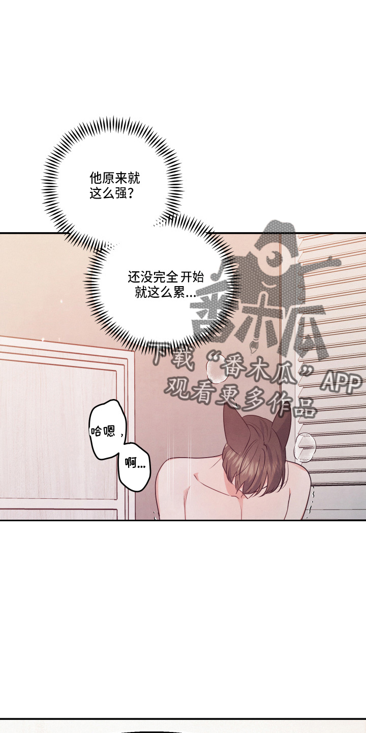 第30章：讨厌结婚5