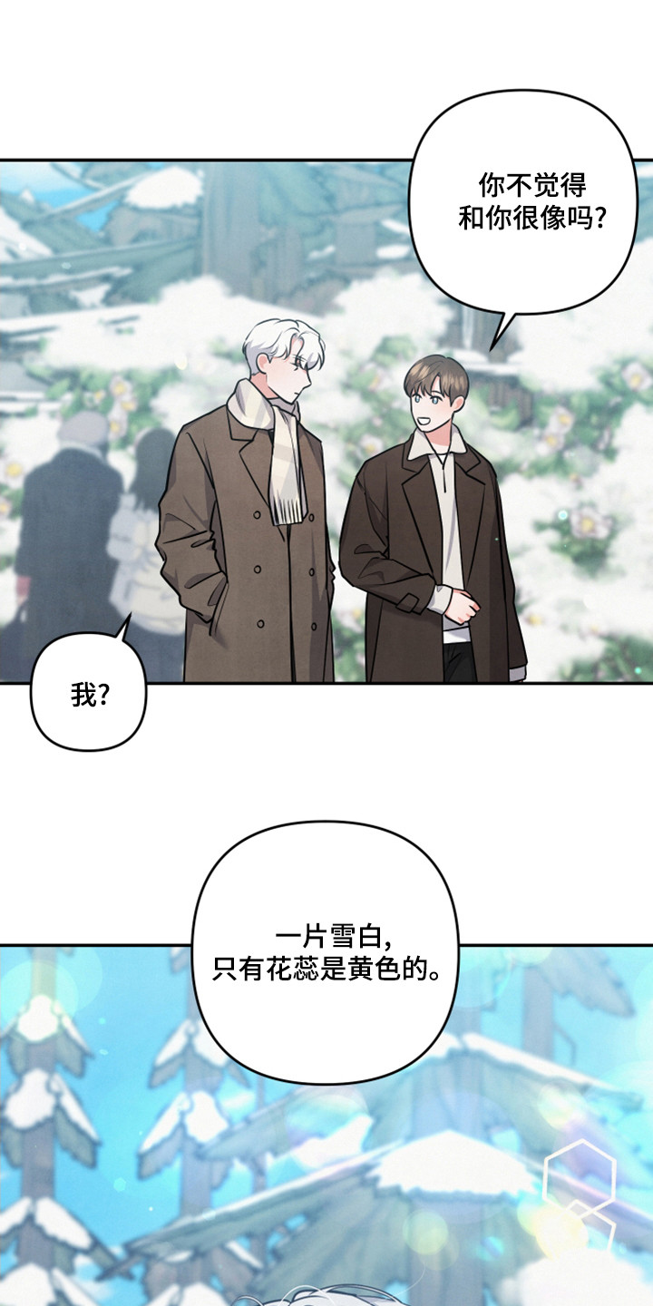 第64章：山茶花14