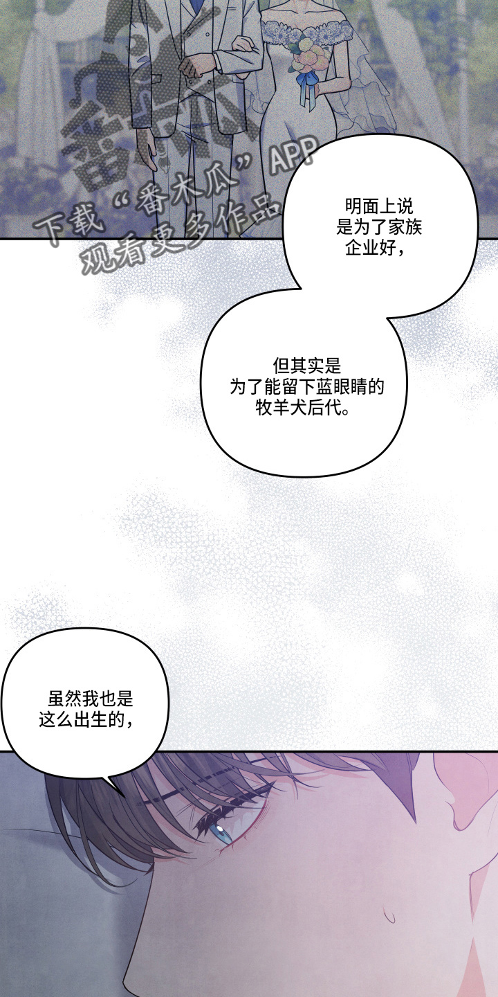 第30章：讨厌结婚21