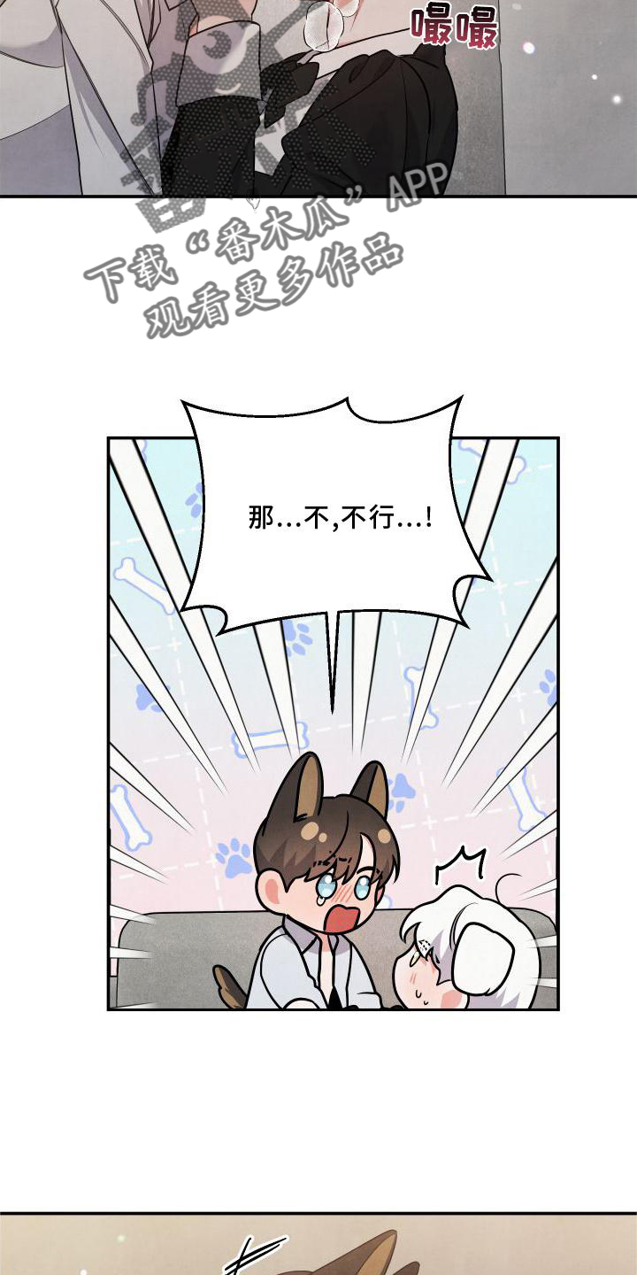 第70章：【番外】听话13