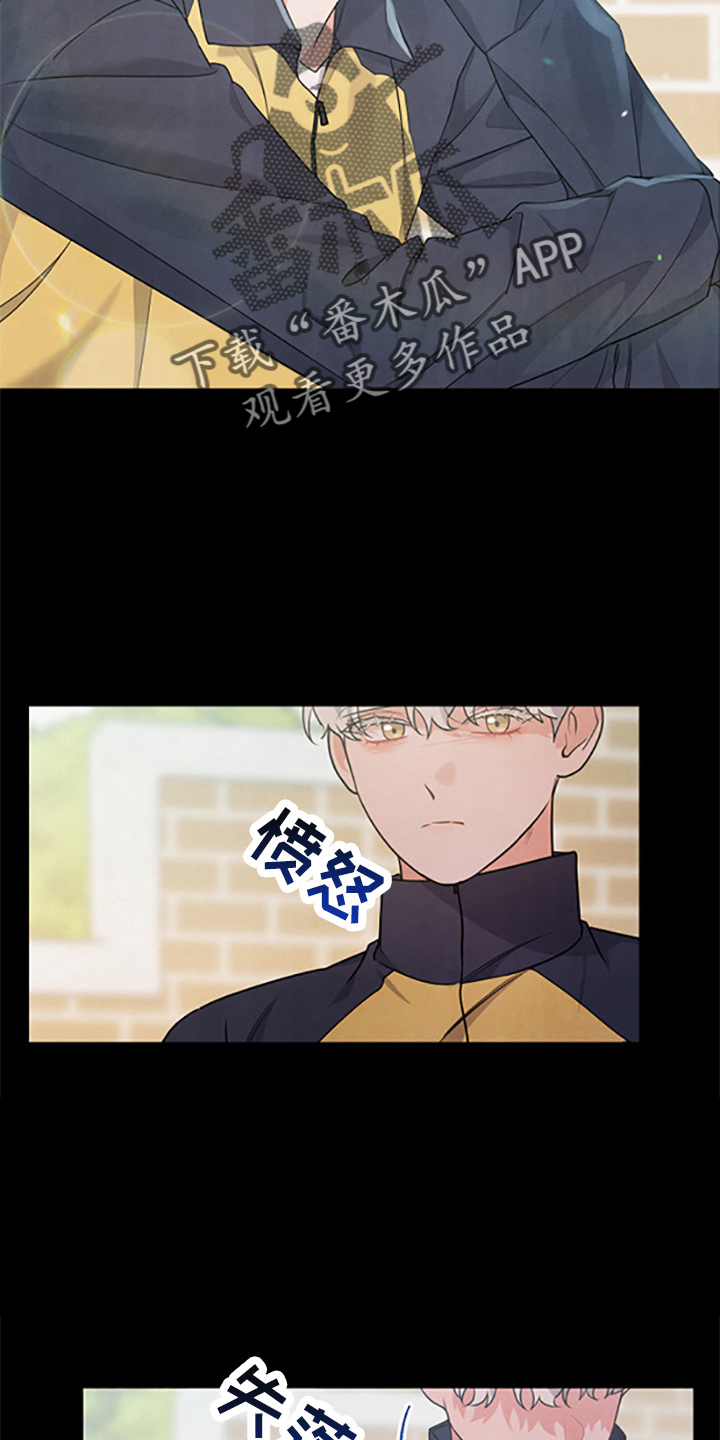 第39章：理想型10