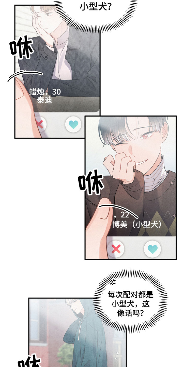 第1章：小型犬2