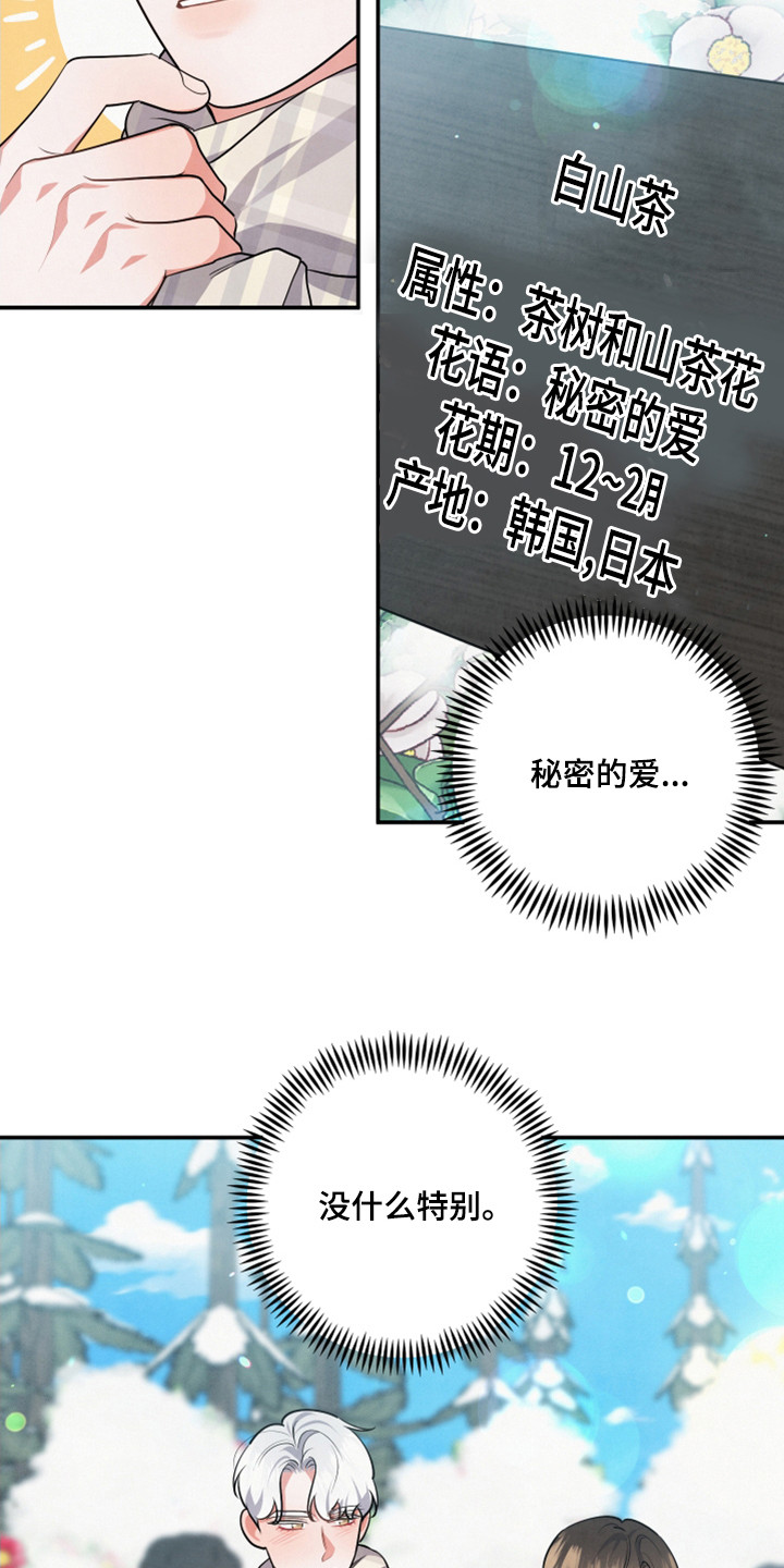 第64章：山茶花17