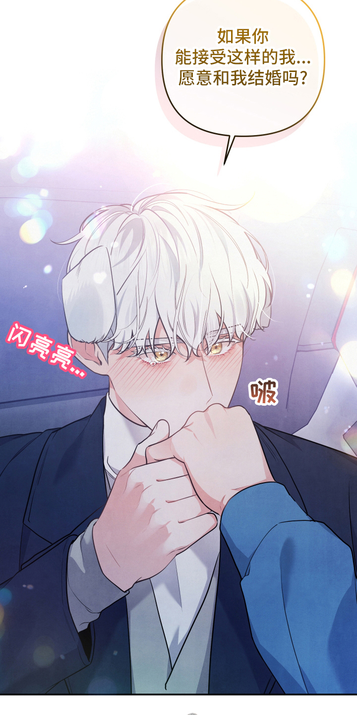 第62章：求婚17