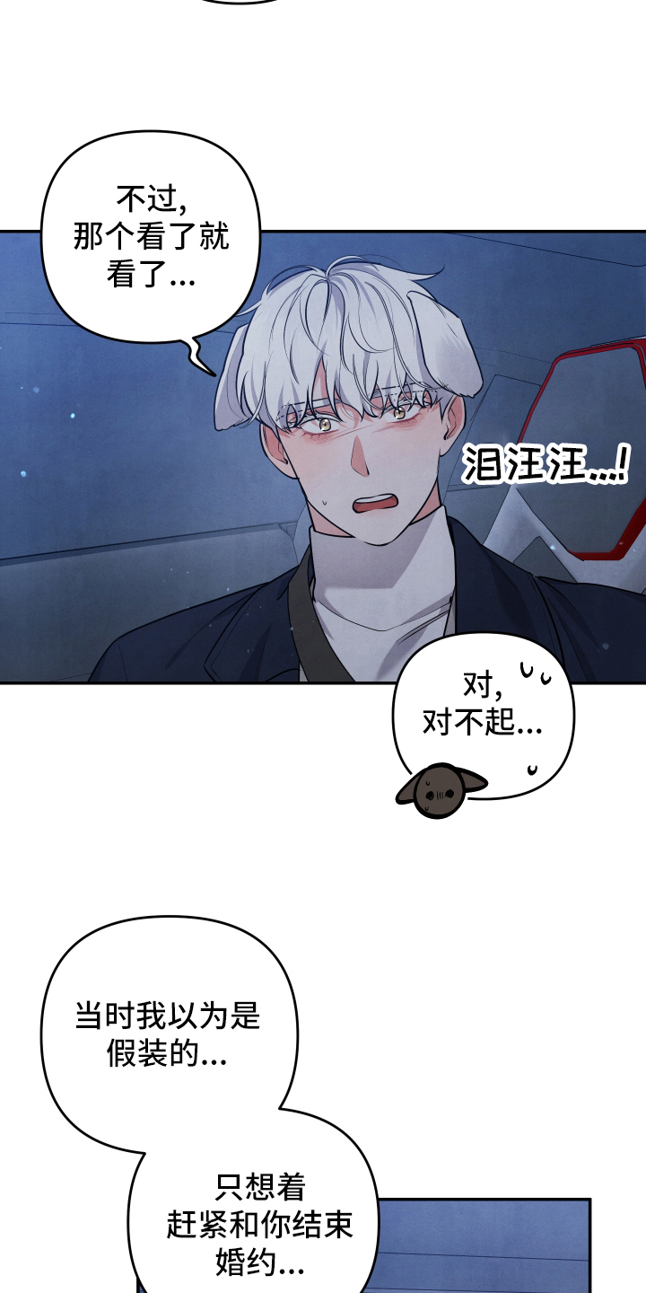 第62章：求婚3
