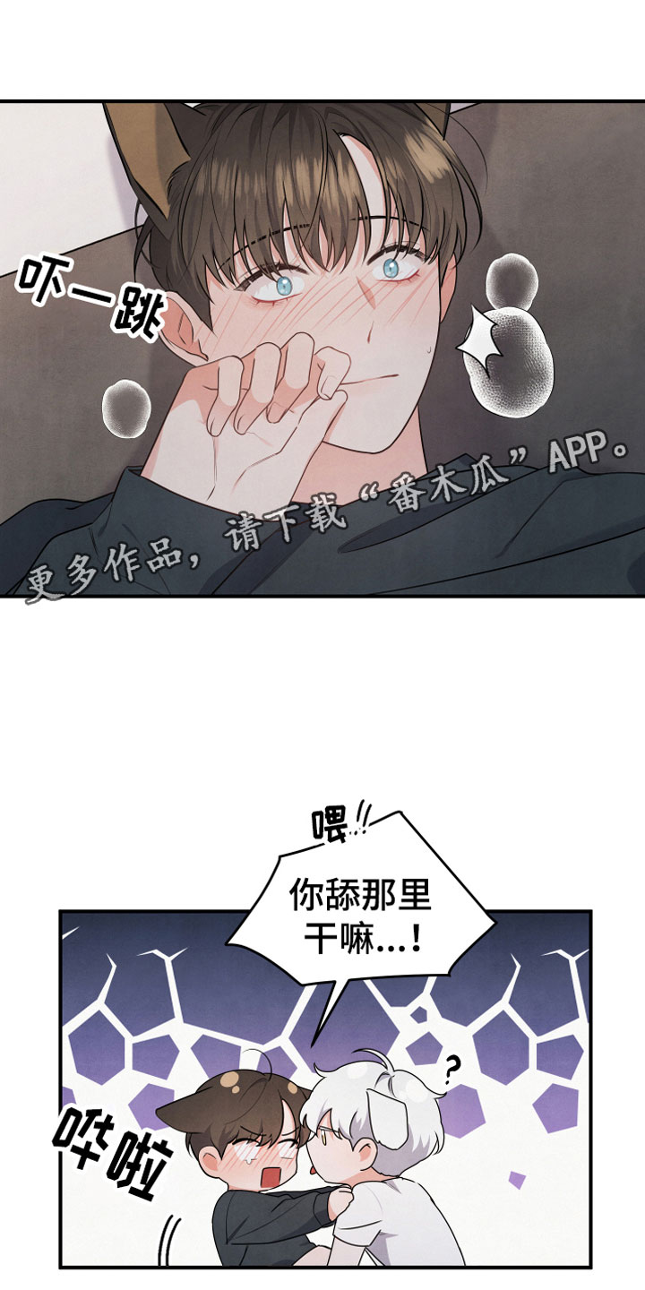 第11章：不一样0