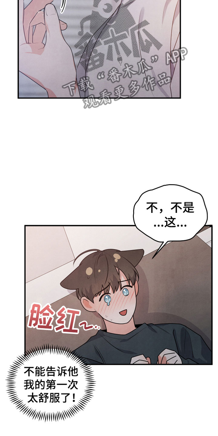 第10章：燃烧16