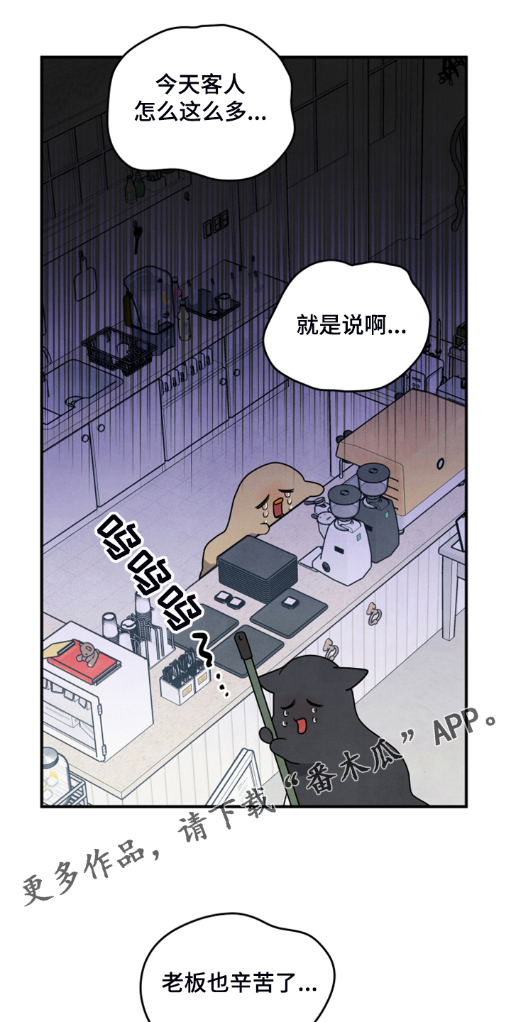 第19章：并不熟0