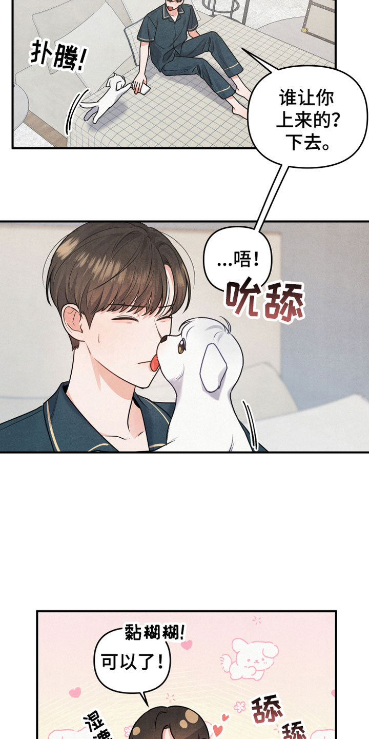 第1章：小型犬6