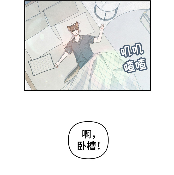 第1章：小型犬20