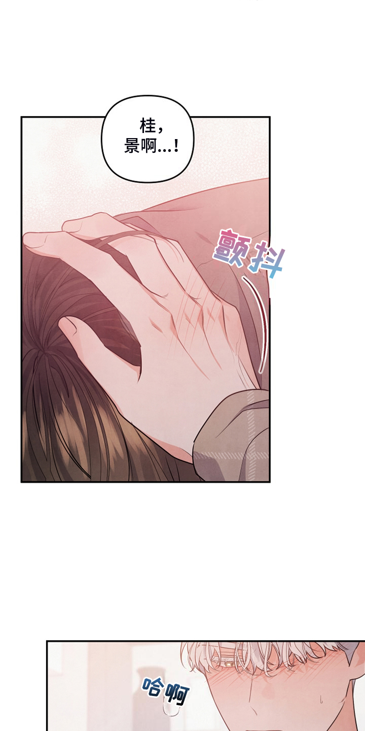 第29章：什么表情3