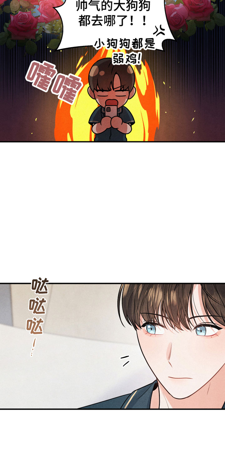 第1章：小型犬4