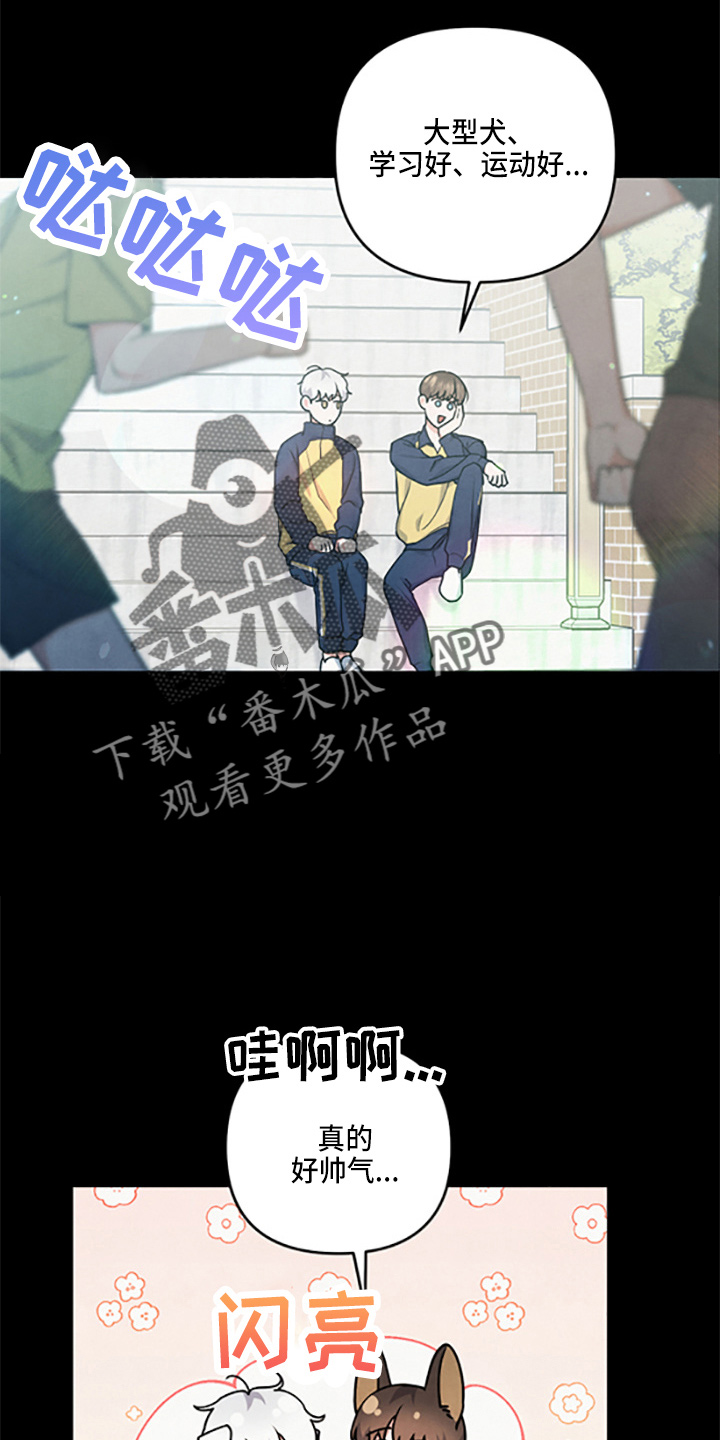 第39章：理想型4