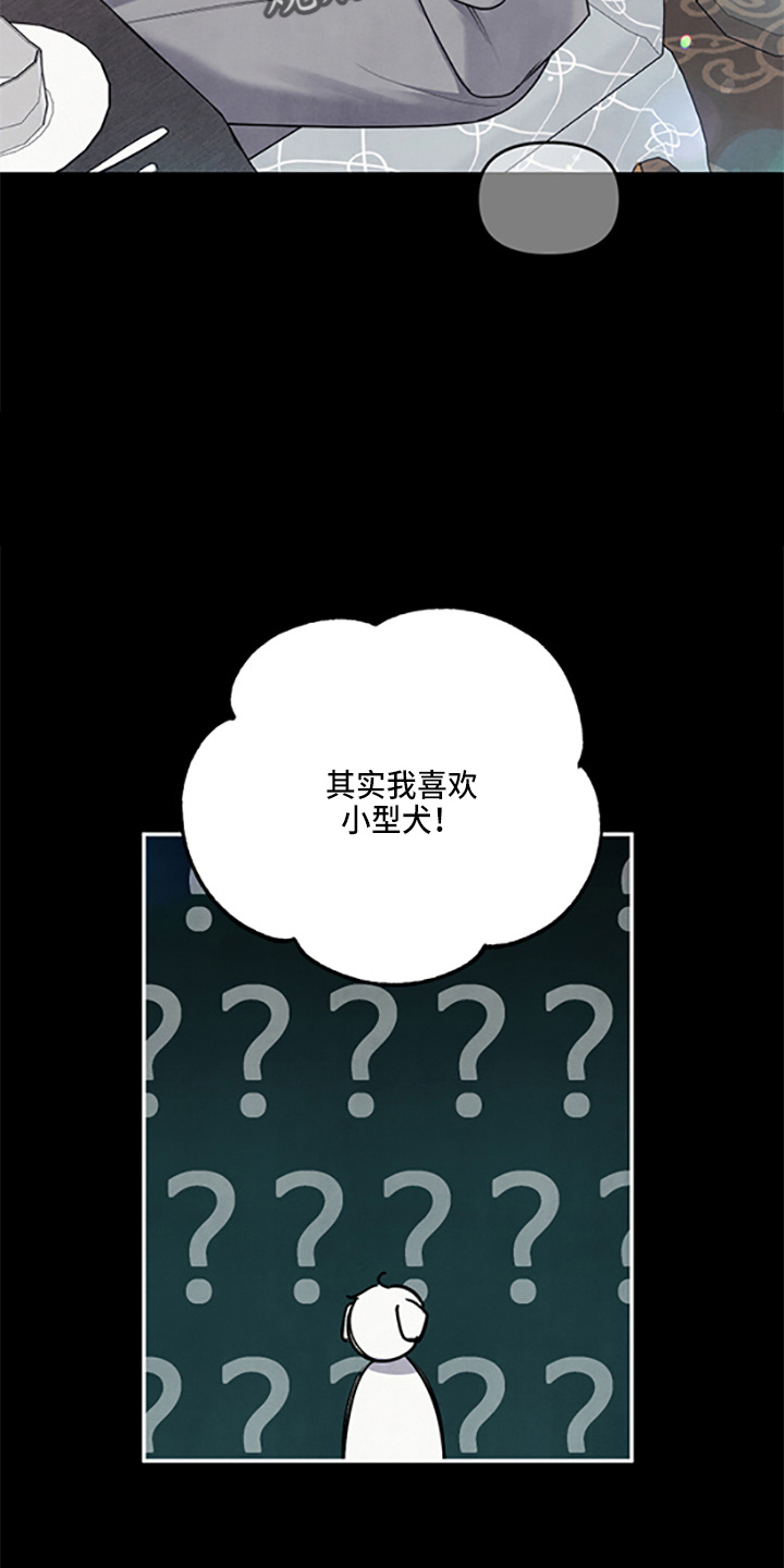 第40章：保护了25
