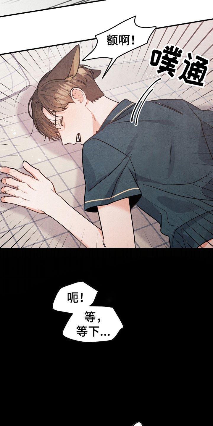 第1章：小型犬18