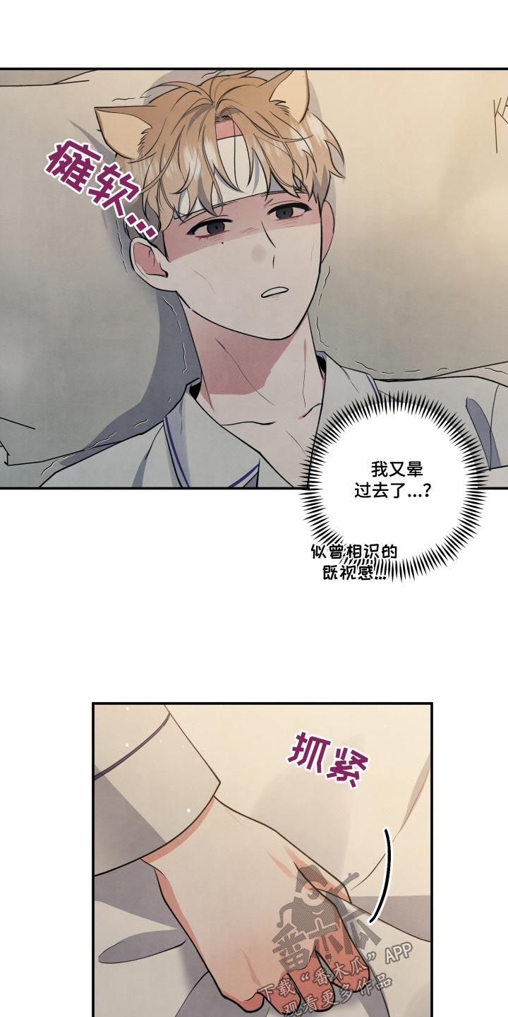 第90章：【第二季】晕倒18