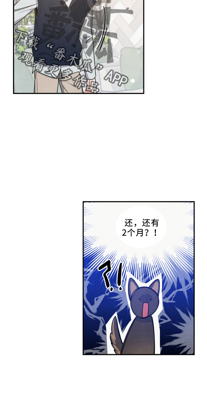 第43章：婚期24