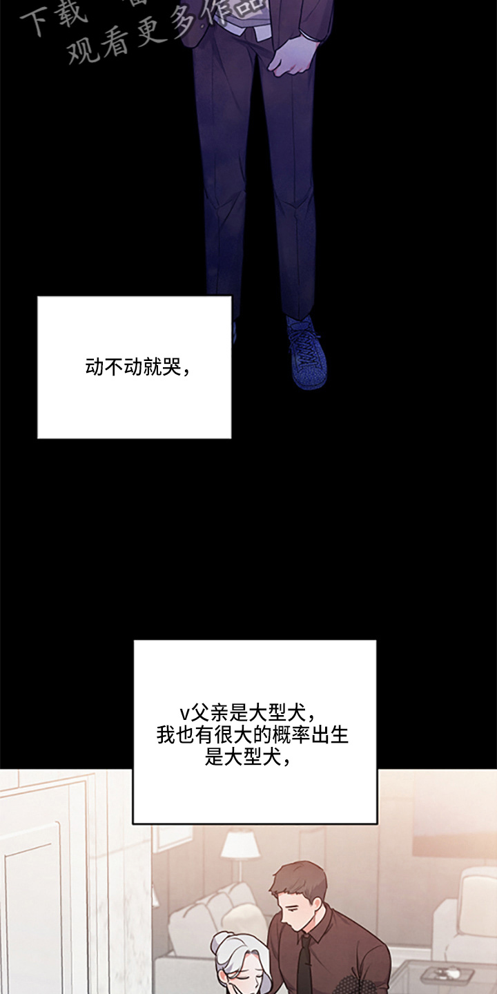 第39章：理想型12