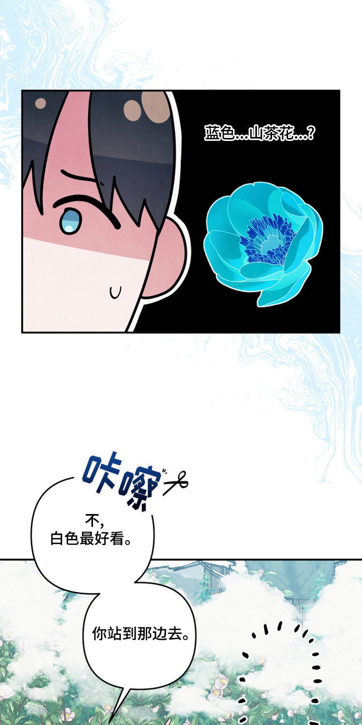 第64章：山茶花21