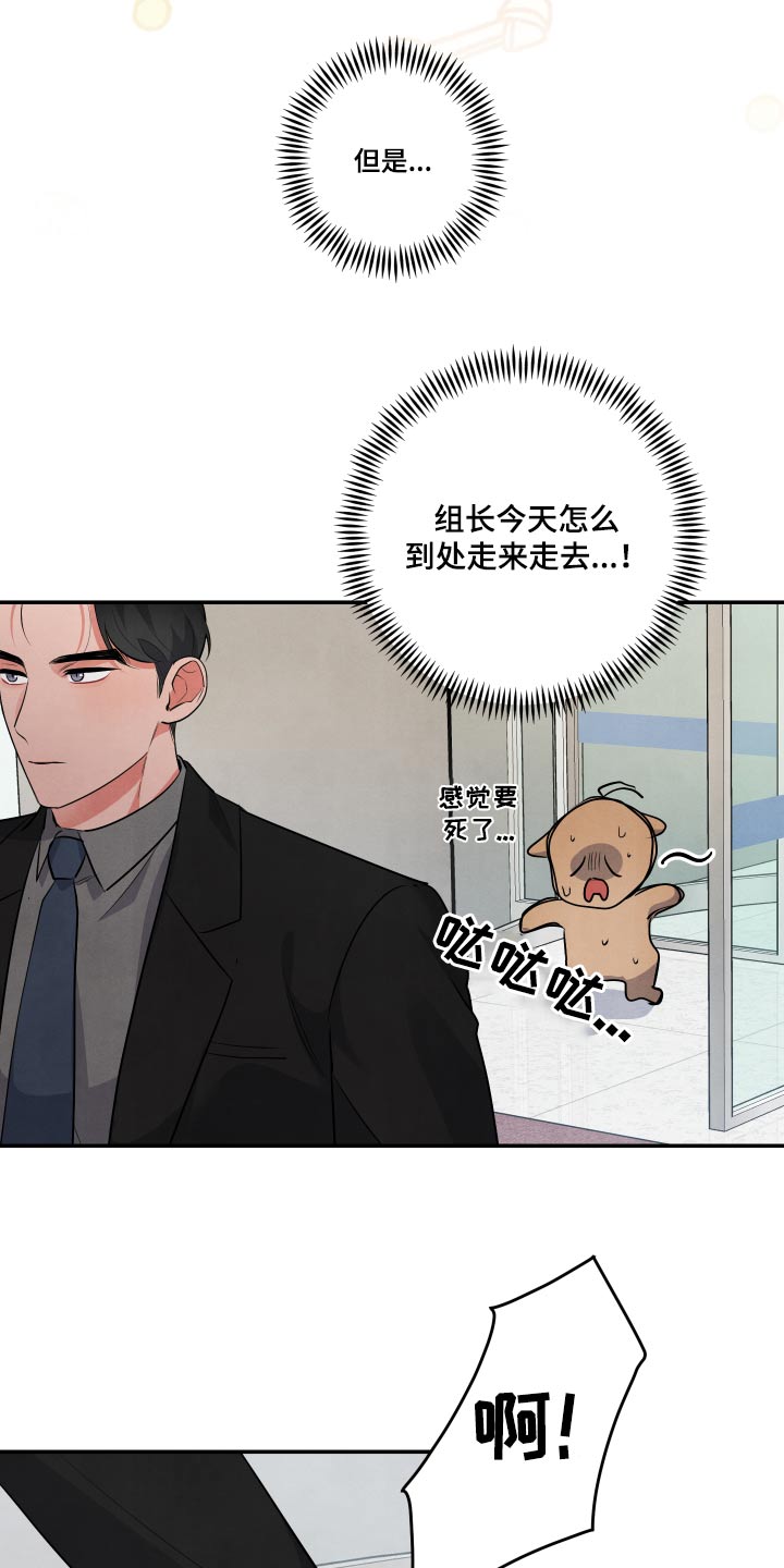 第75章：【第二季】好喜欢他3