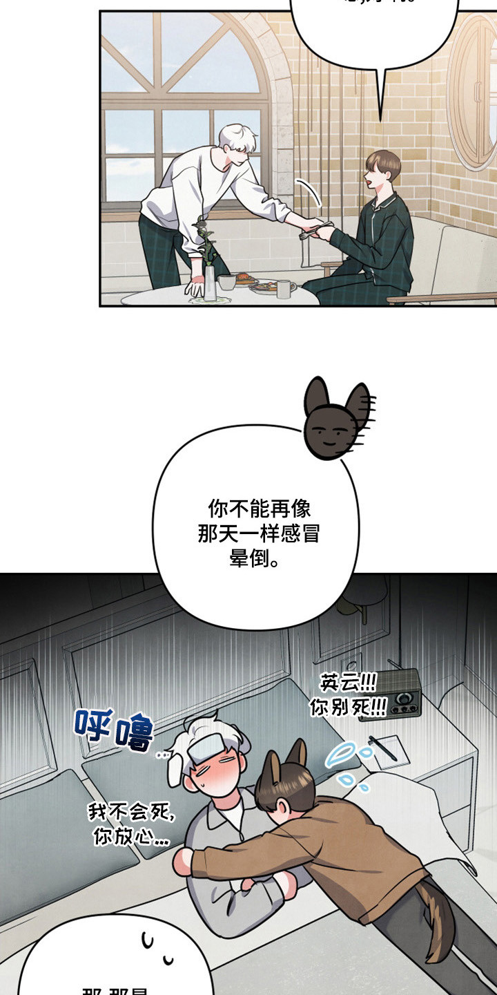 第64章：山茶花9