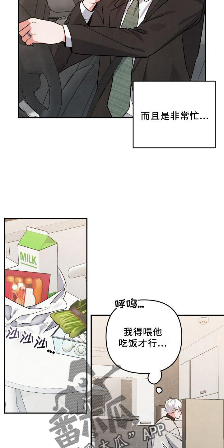 第68章：【番外】惊喜8