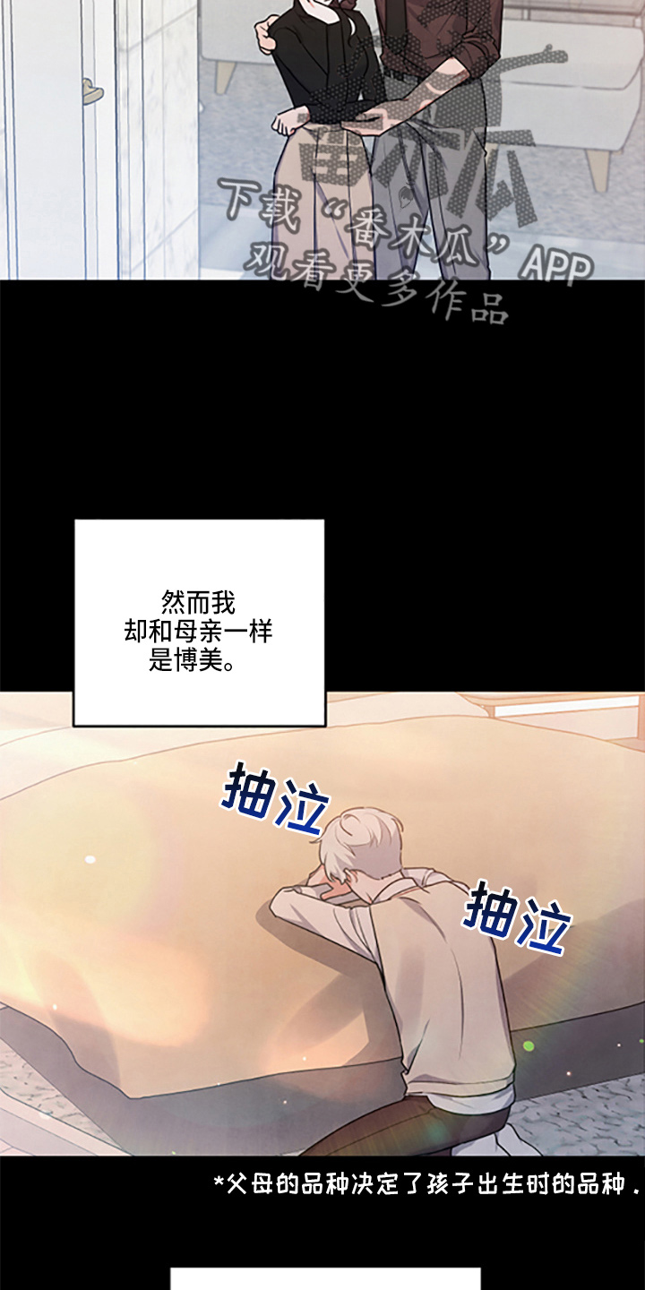第39章：理想型13