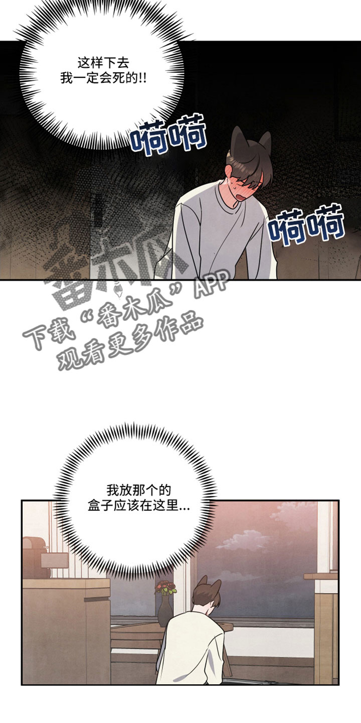 第51章：听我的6