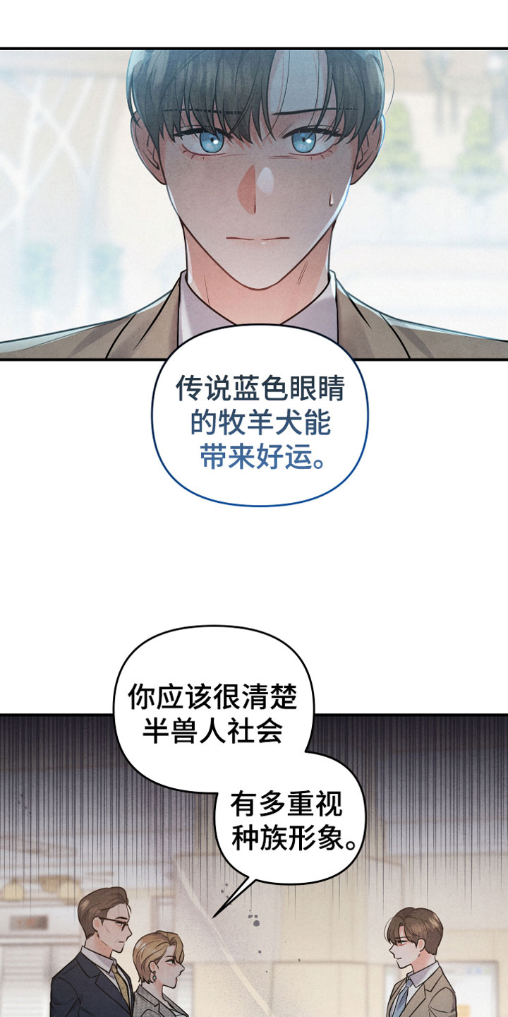第2章：生日宴会13