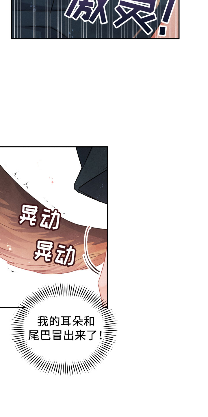 第1章：小型犬15