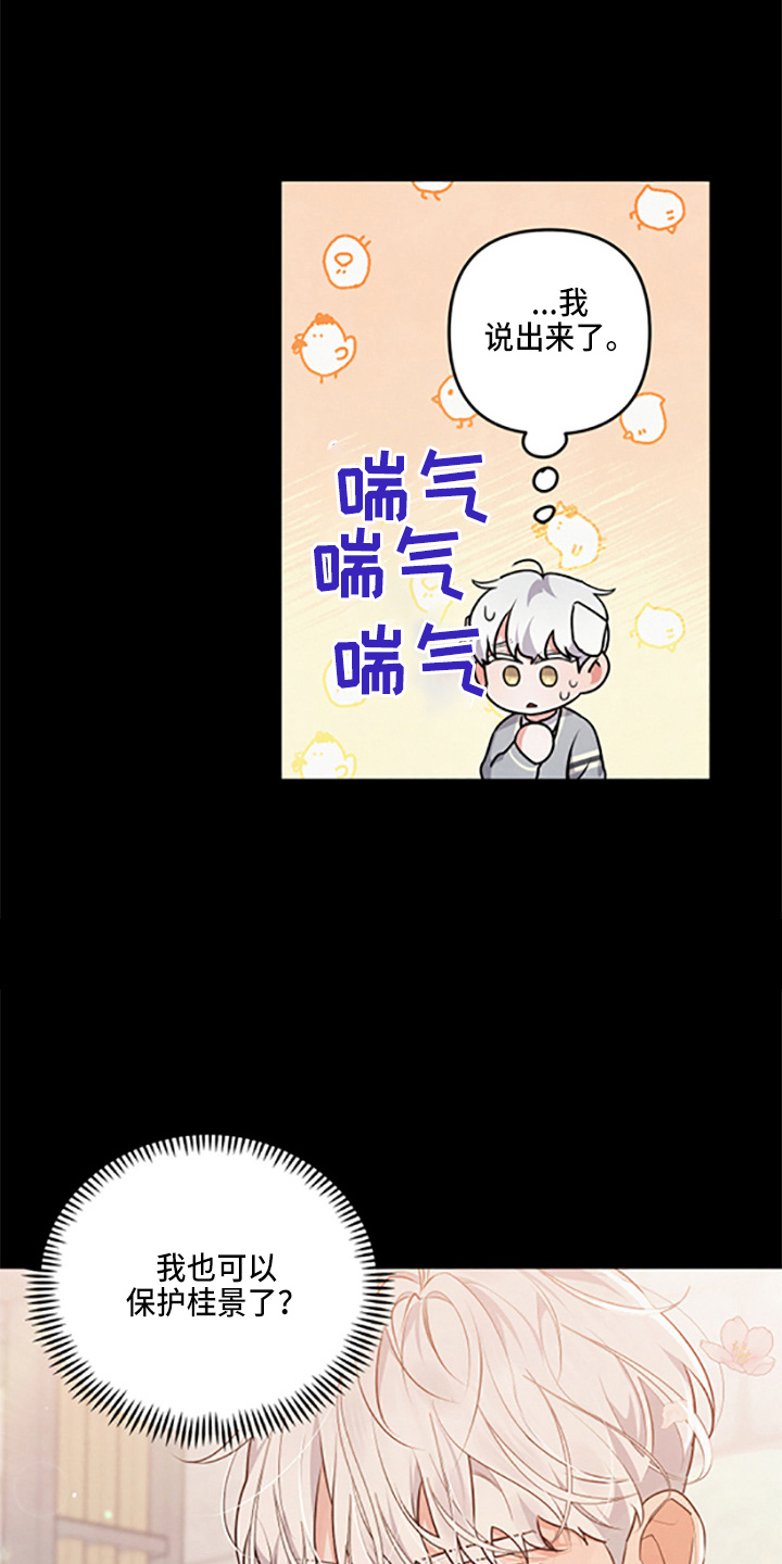 第40章：保护了12