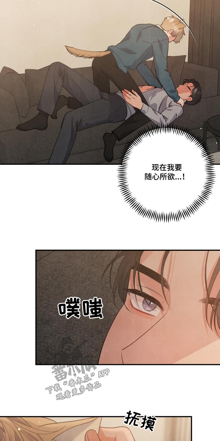 第95章：【第二季】想了解你19