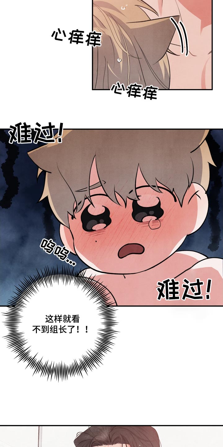 第90章：【第二季】晕倒5